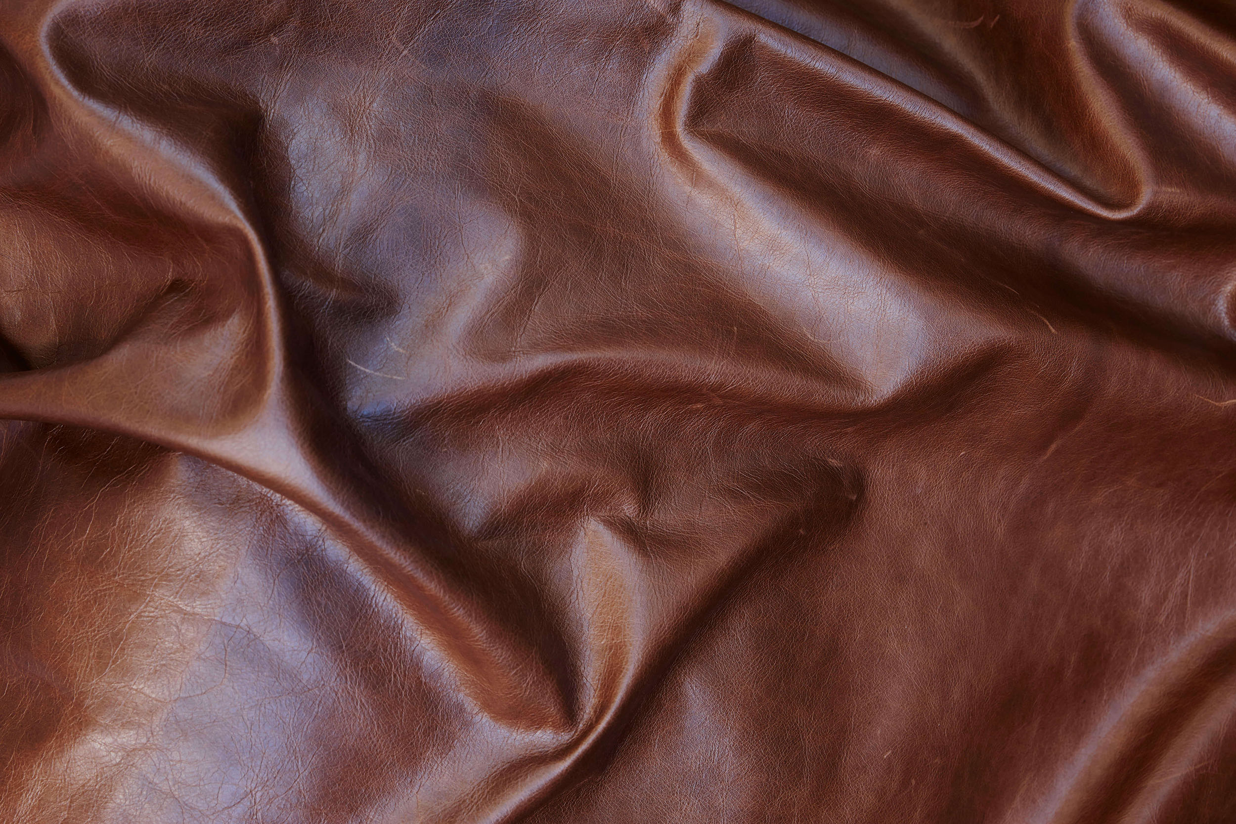 Tasman Leathers of New Zealand